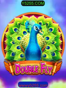 Explorando o Divertido Mundo de DoubleFly: Regras e Desafios